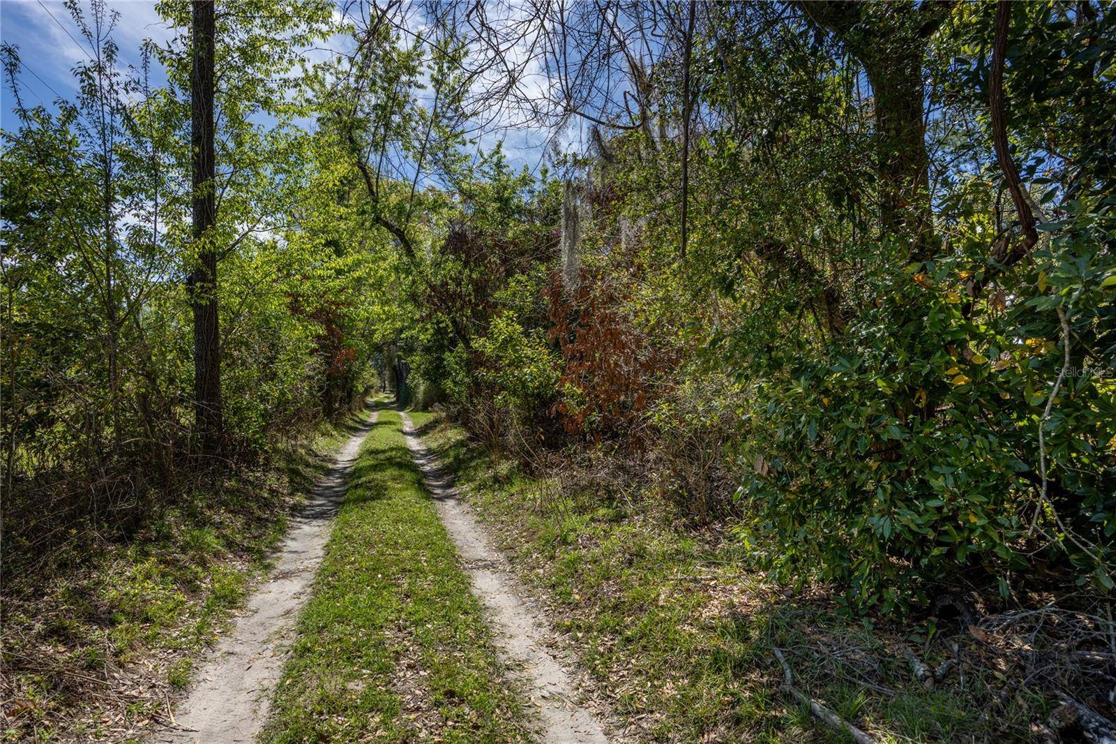 NW 253RD ST, High Springs, FL 32643