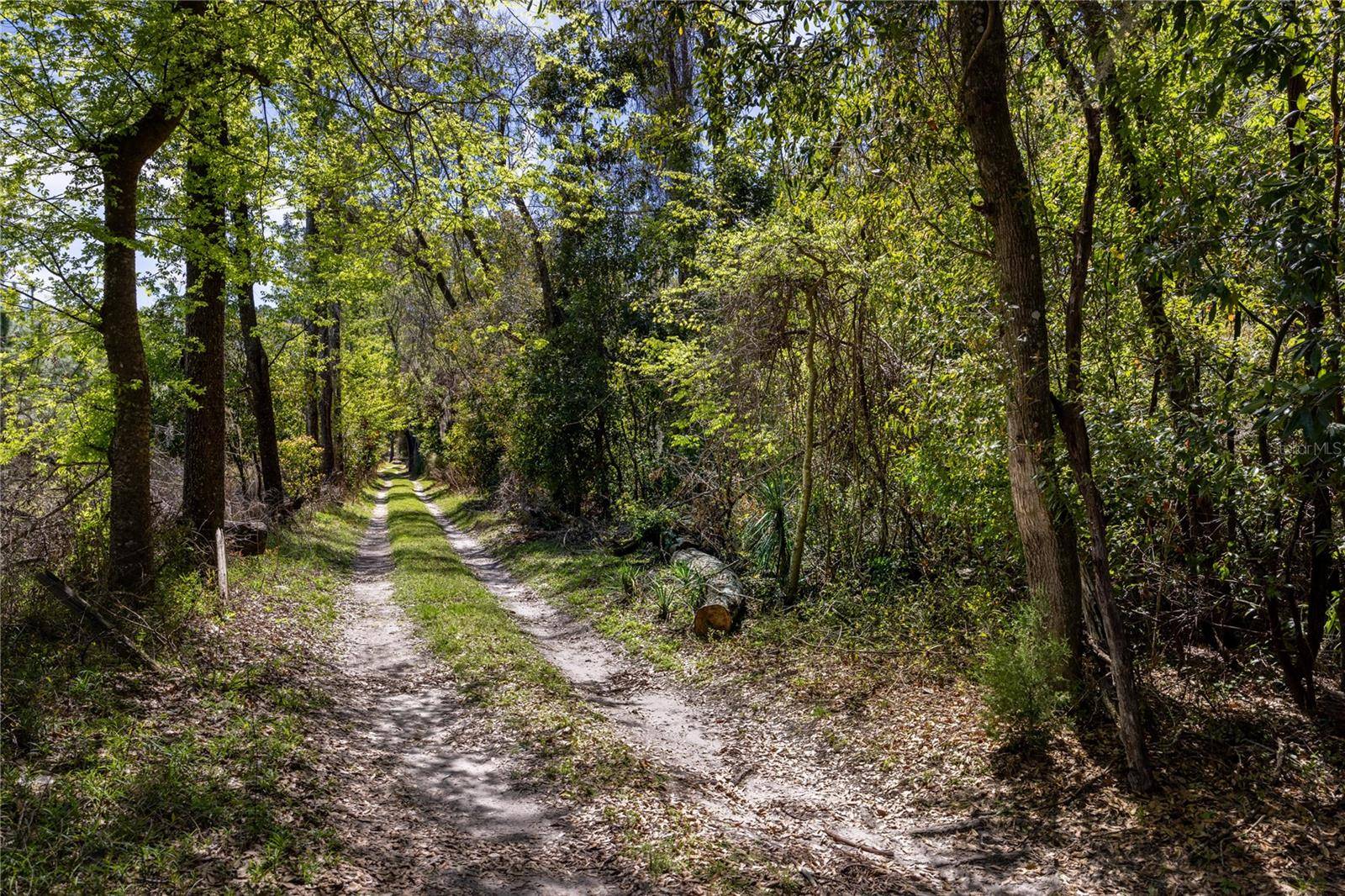 NW 253RD ST, High Springs, FL 32643