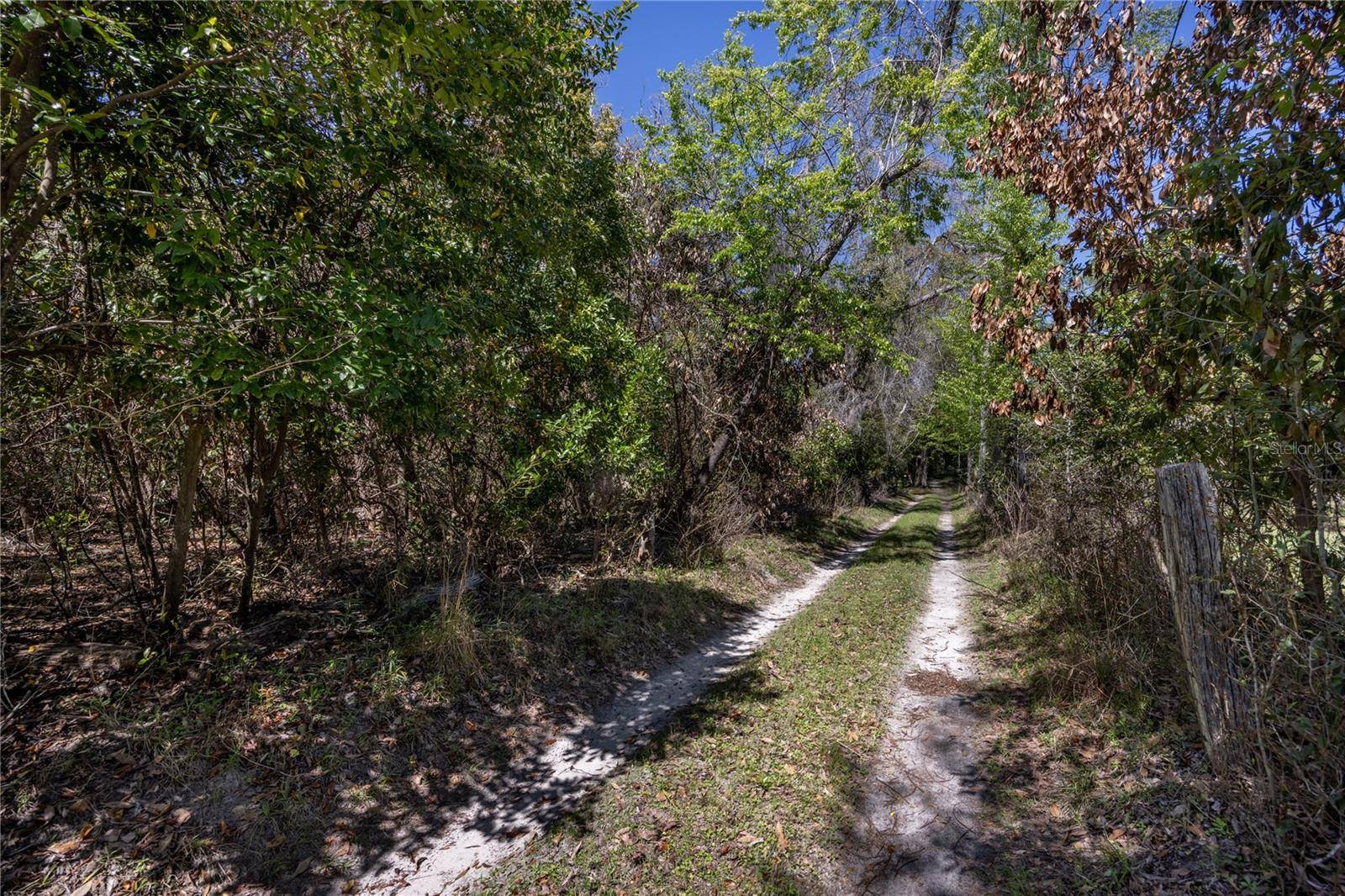 NW 253RD ST, High Springs, FL 32643