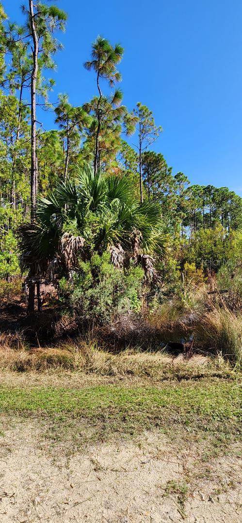 Lot 9 SW 104 ST, Cedar Key, FL 32625