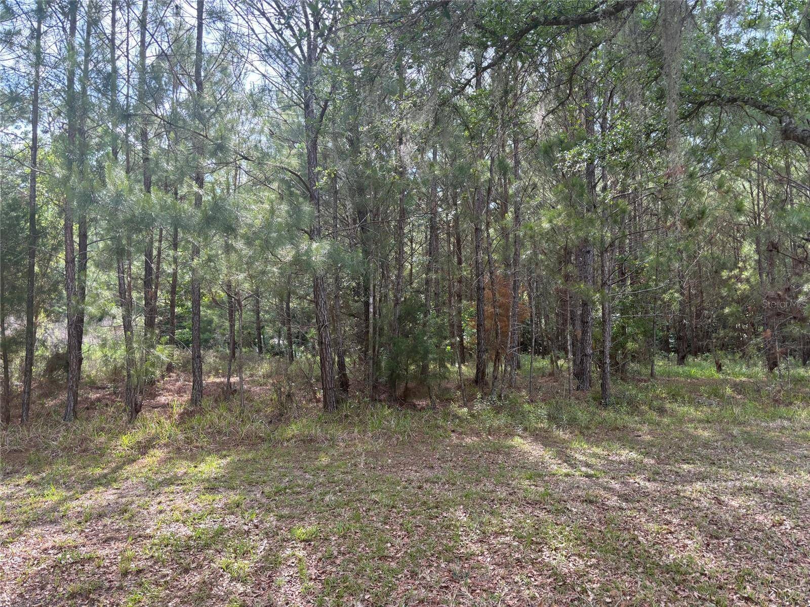 8845 NW 58TH LN, Gainesville, FL 32653