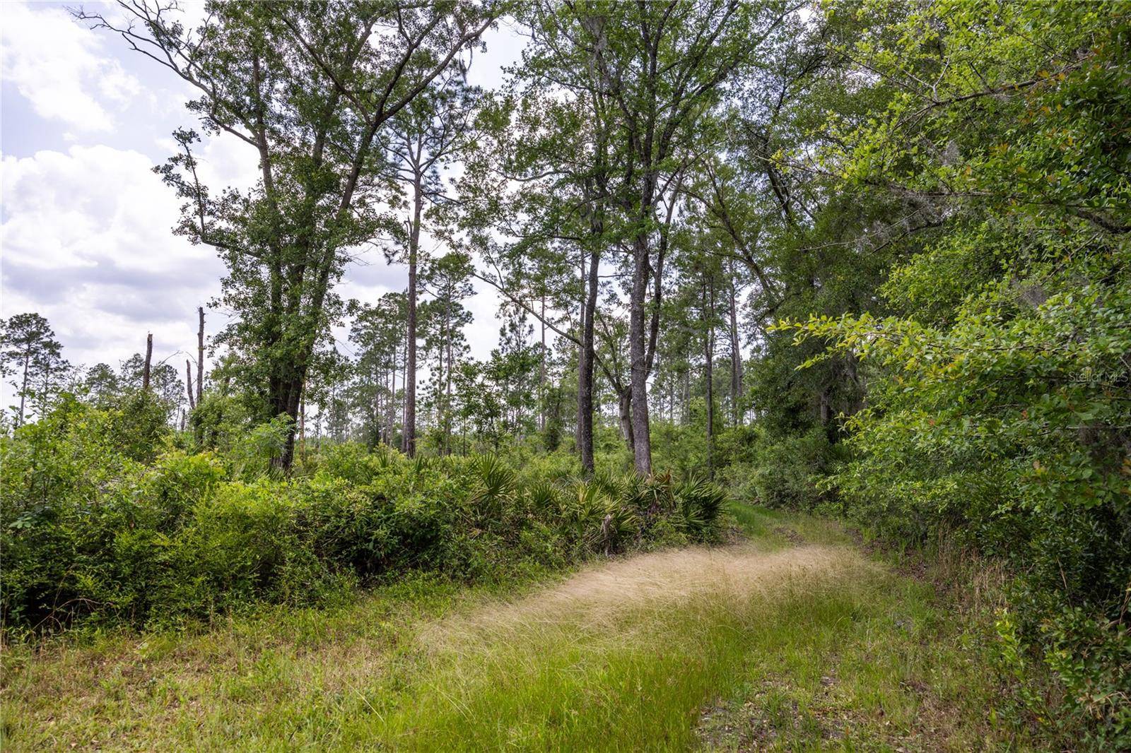 0 COUNTY ROAD 225, Waldo, FL 32694