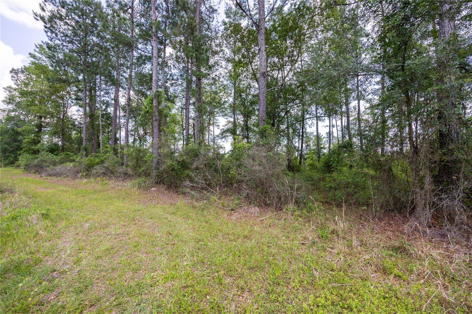 0 COUNTY ROAD 225, Waldo, FL 32694