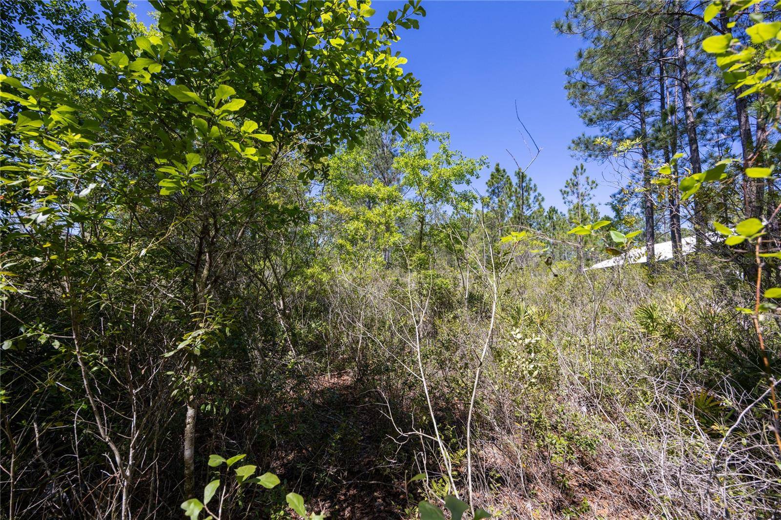 NE 108TH AVE, Waldo, FL 32694