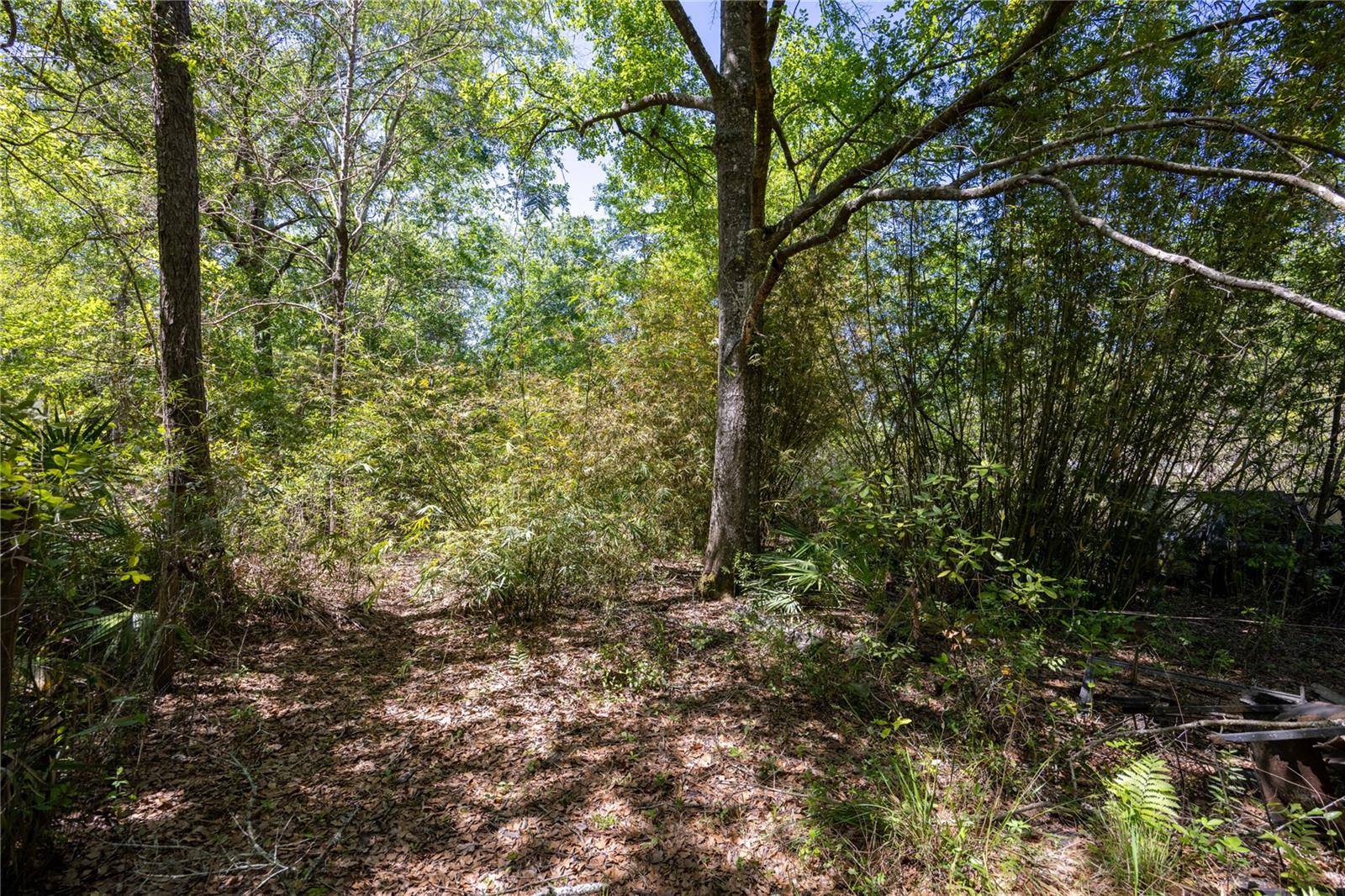 NE 108TH AVE, Waldo, FL 32694