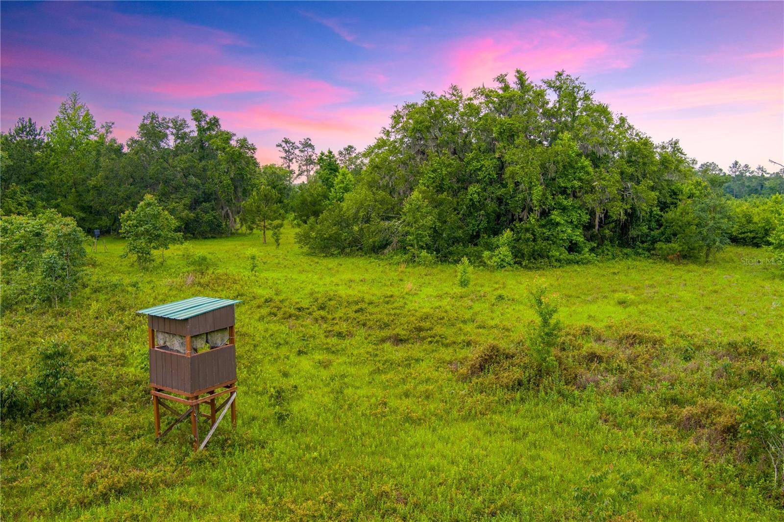 NW COLIN CT, Lake City, FL 32055