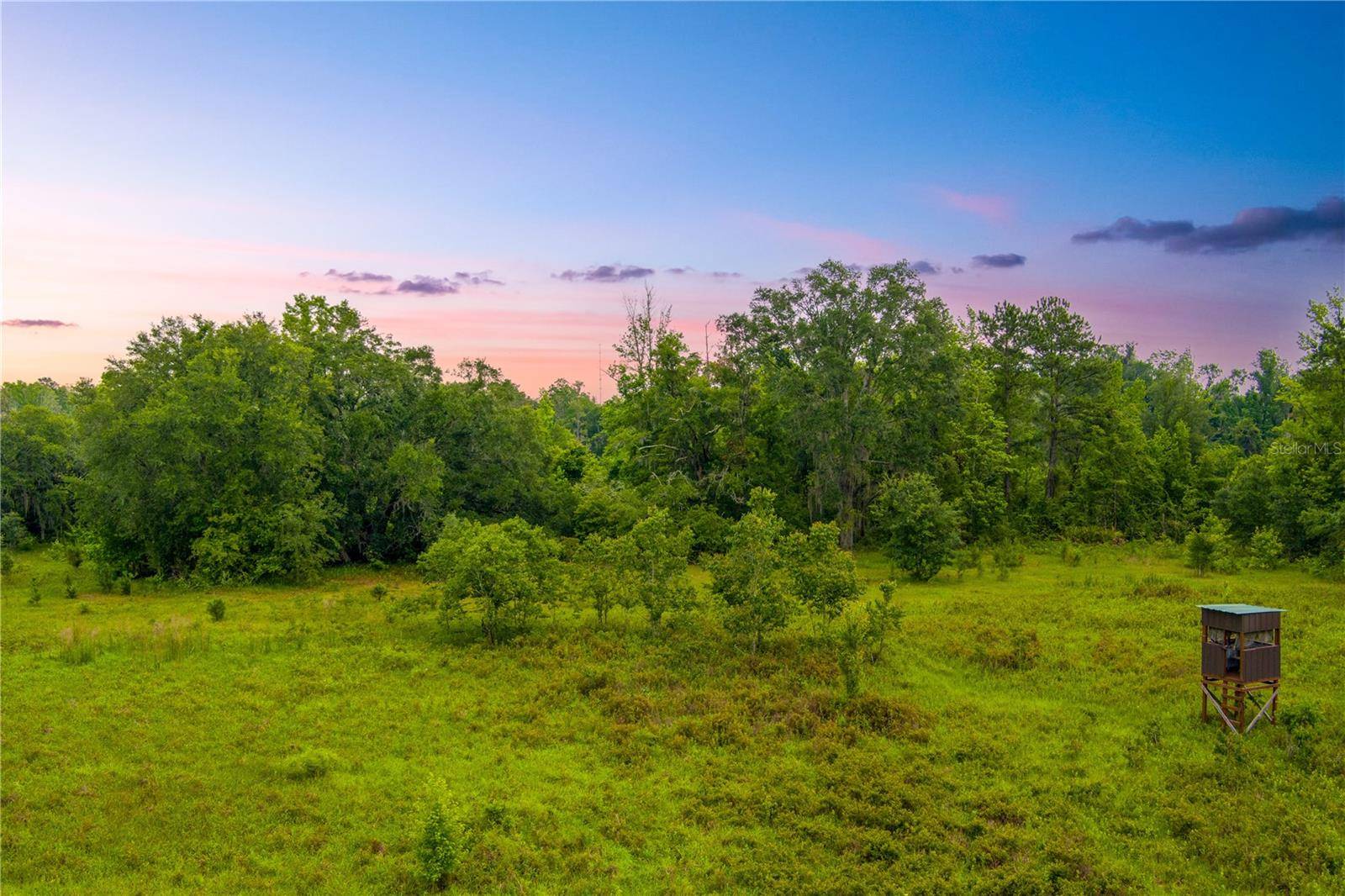 NW COLIN CT, Lake City, FL 32055
