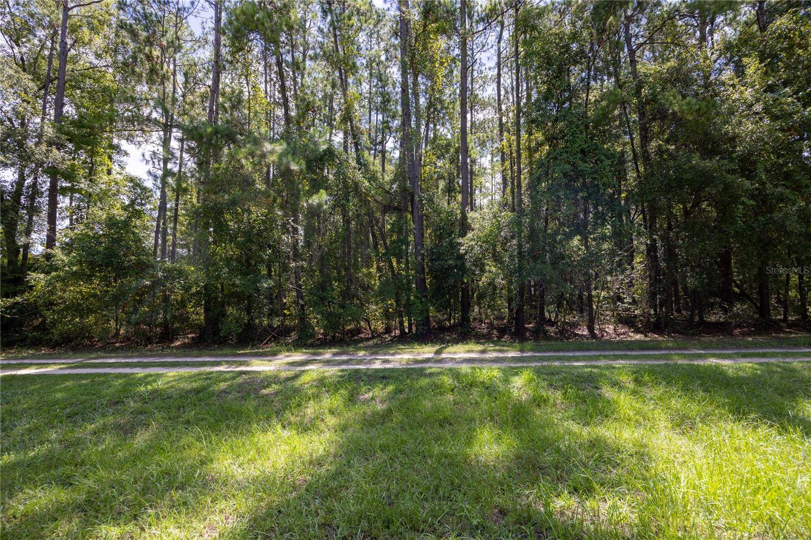 0 SE HAWTHORNE RD, Hawthorne, FL 32640