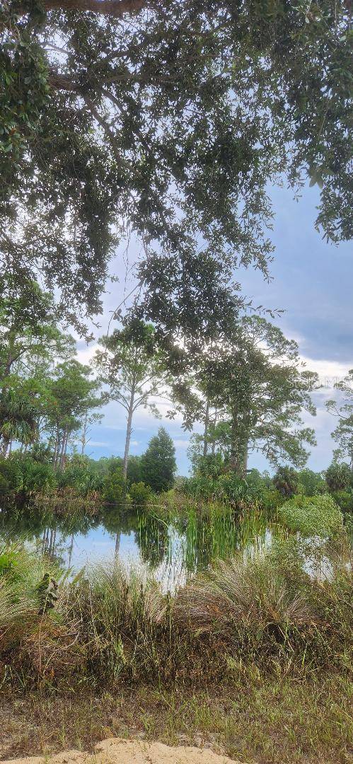 Lot 7 SW 104 ST, Cedar Key, FL 32625