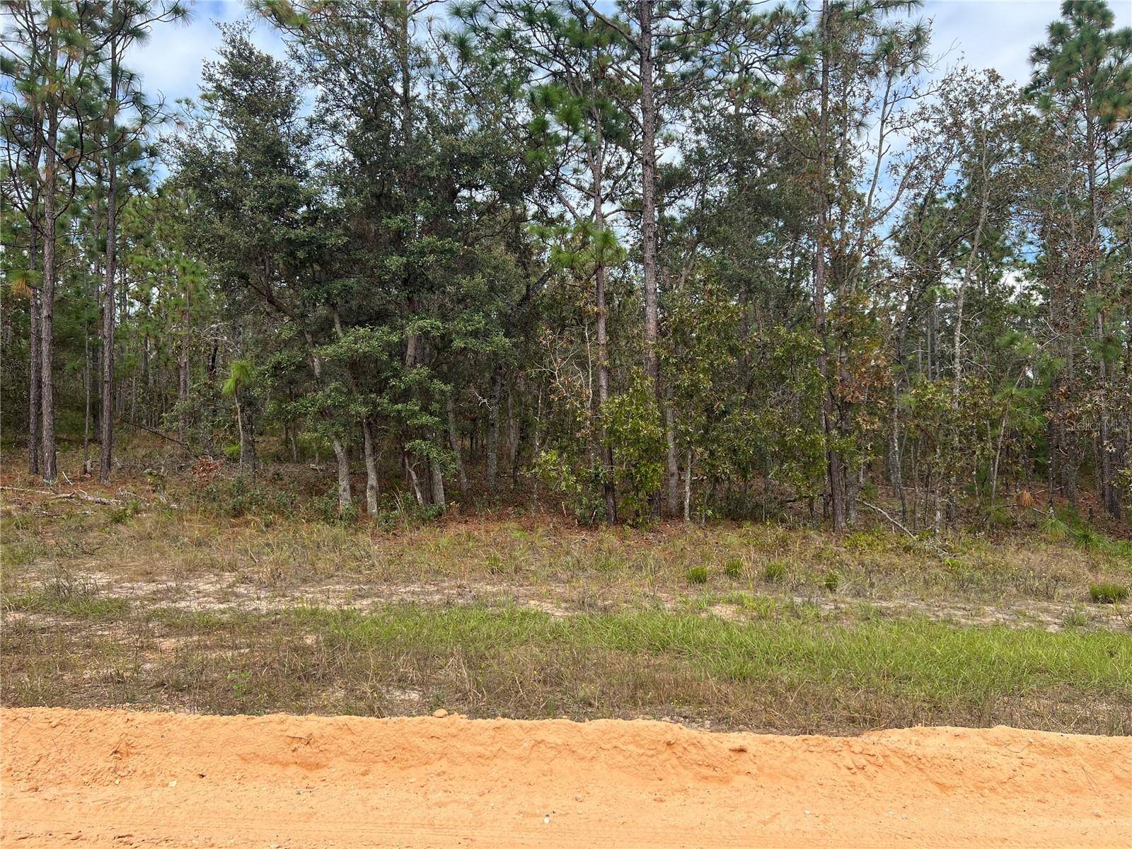 255 MELROSE LANDING DR, Hawthorne, FL 32640