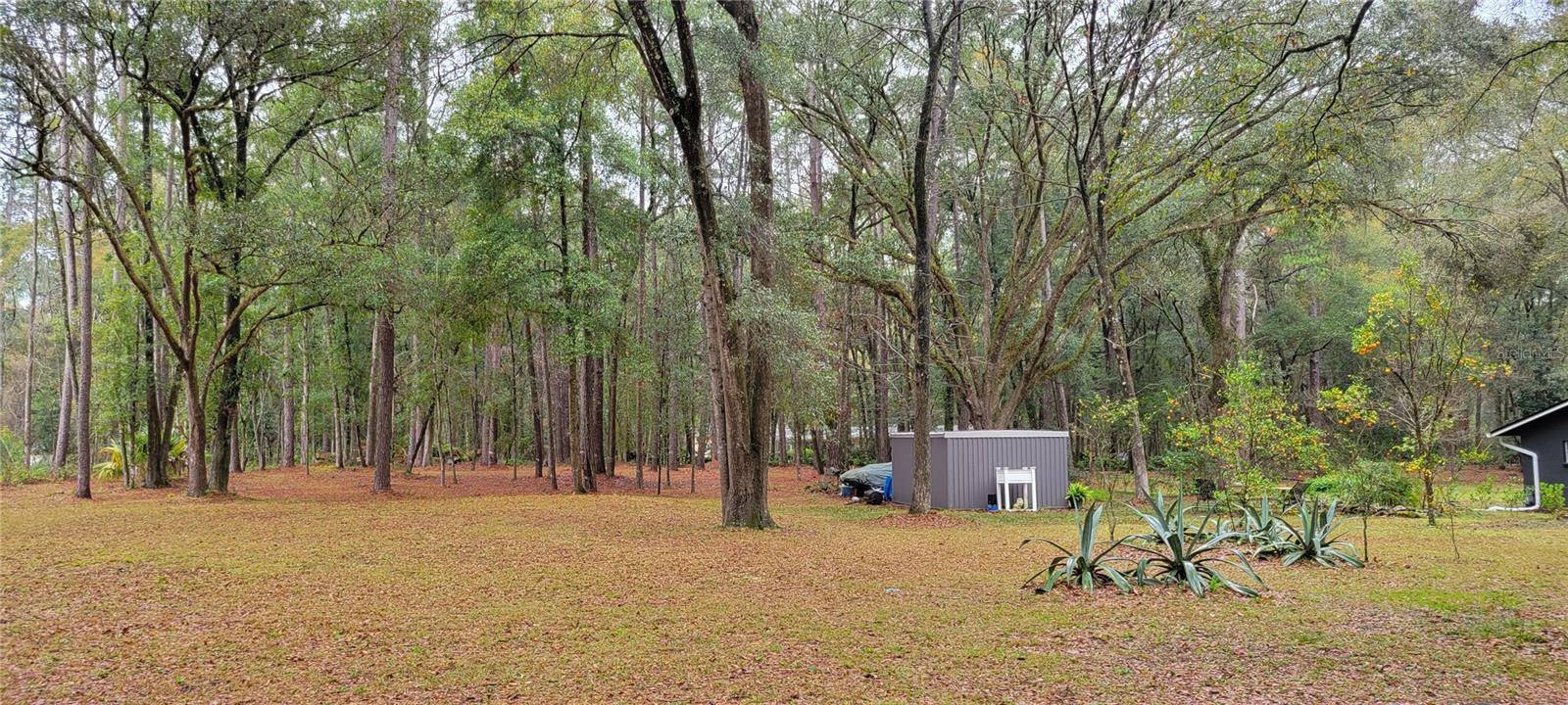 1260 SW 91ST ST, Gainesville, FL 32608