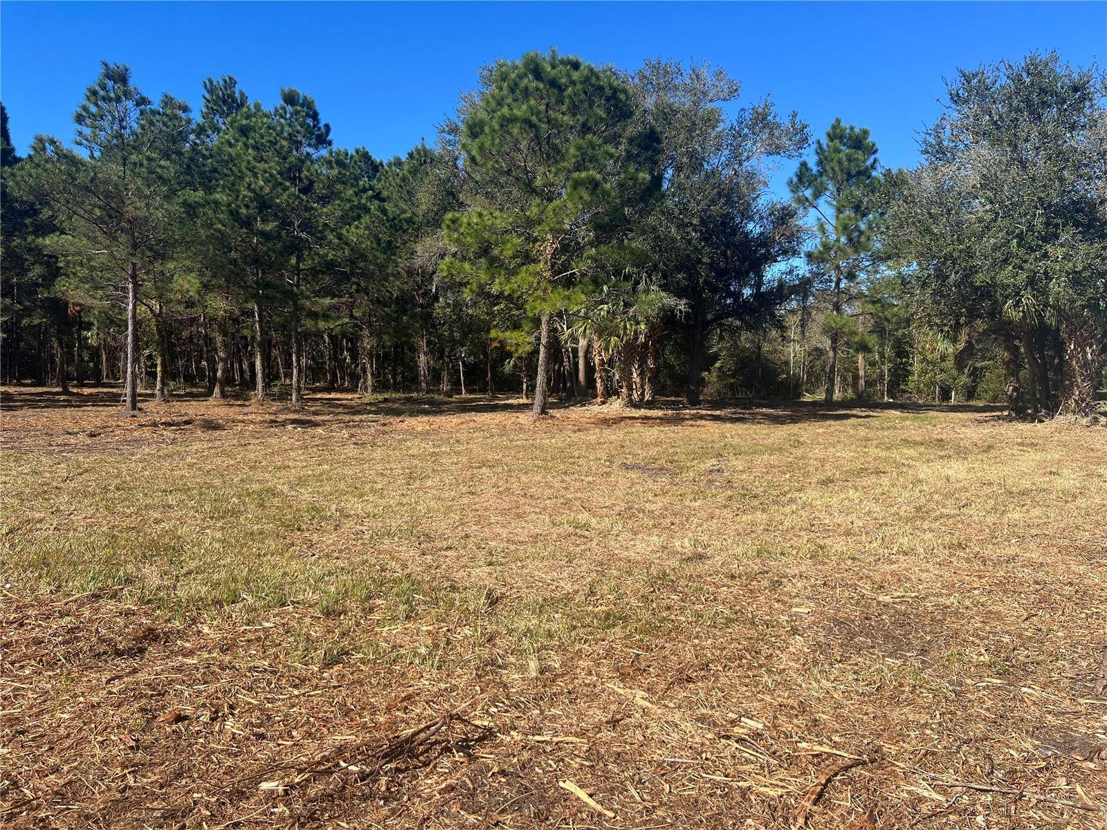 17802 US-301, Waldo, FL 32694