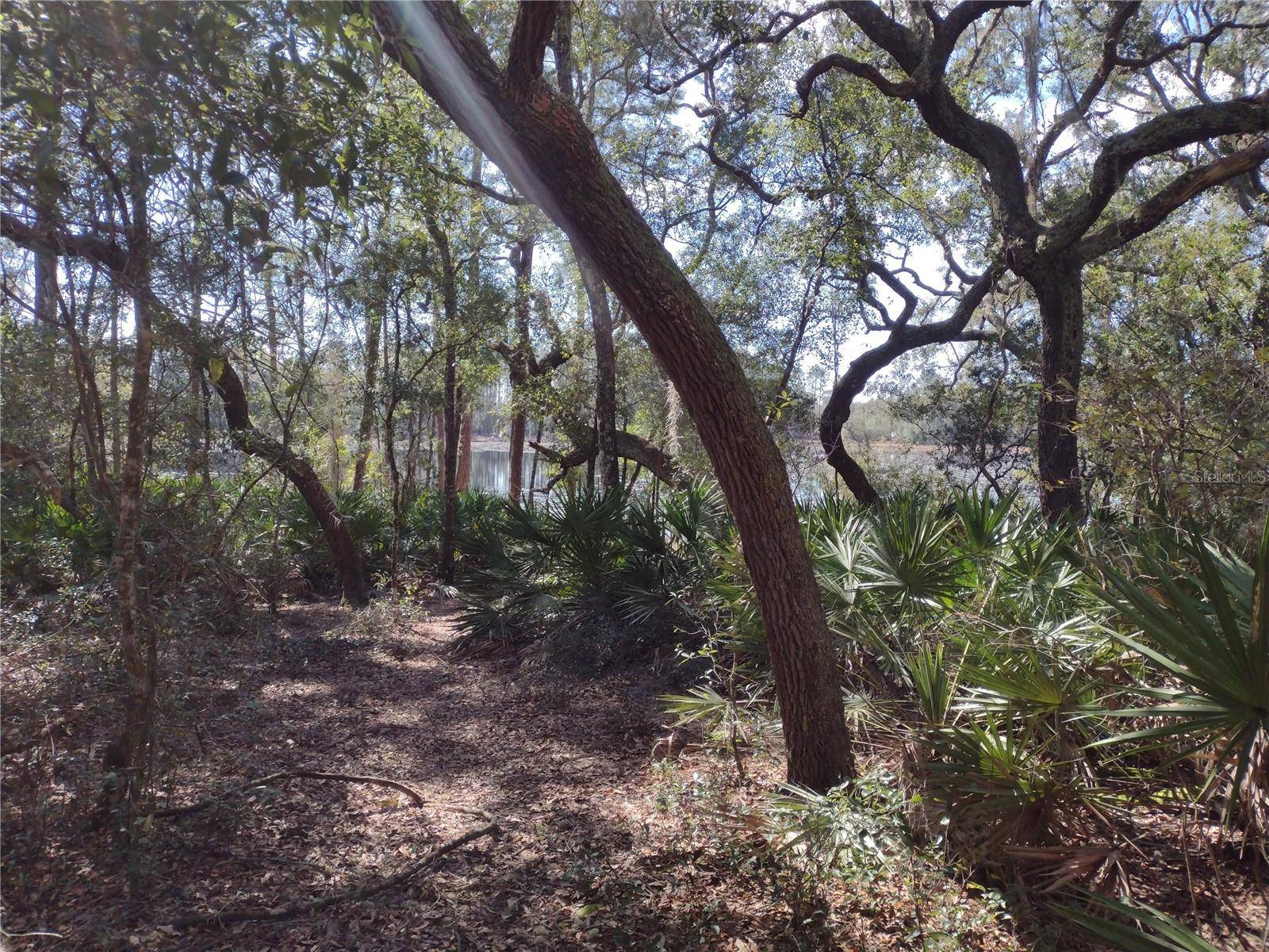 89 TUCKER LAKE RD, Melrose, FL 32666