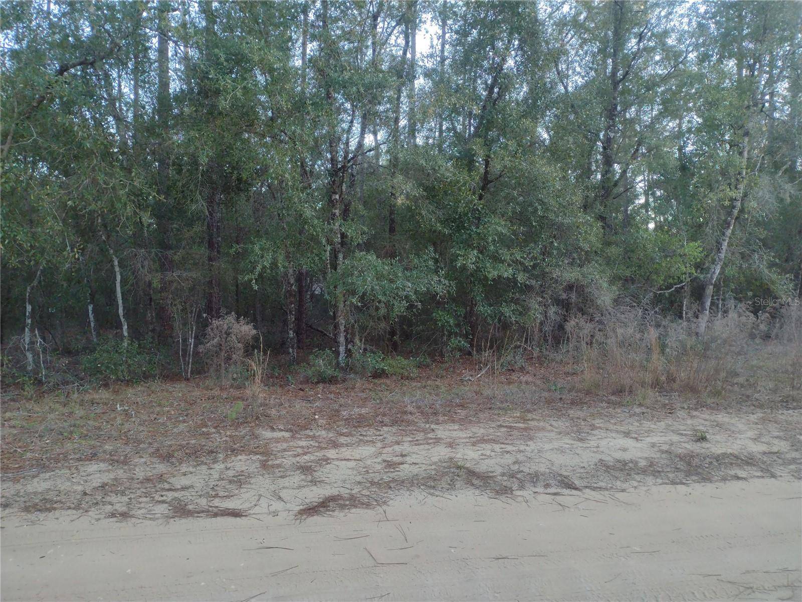 89 TUCKER LAKE RD, Melrose, FL 32666