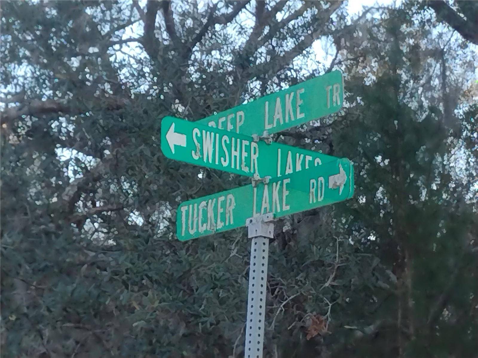 89 TUCKER LAKE RD, Melrose, FL 32666