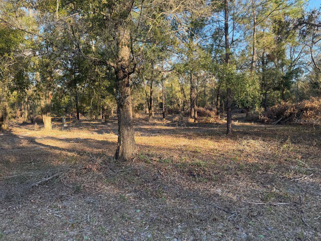 ROANOKE TERRACE, Fort White, FL 32038