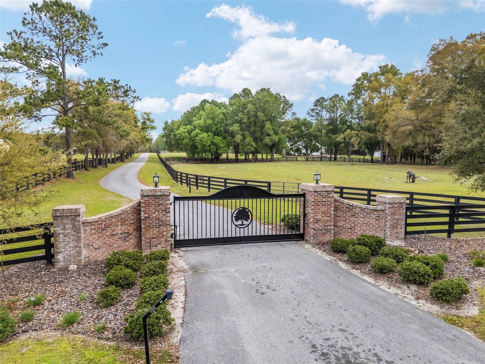 3595 NW 156TH DR, Newberry, FL 32669