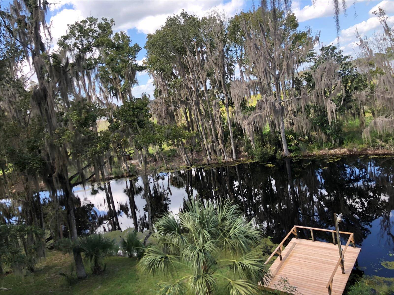 216 LITTLE ORANGE LAKE DR, Hawthorne, FL 32640