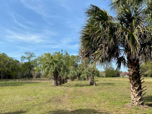23206 NW 102 ND AVE, Alachua, FL 32615