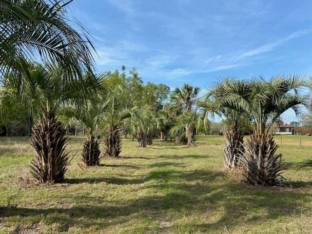 23206 NW 102 ND AVE, Alachua, FL 32615