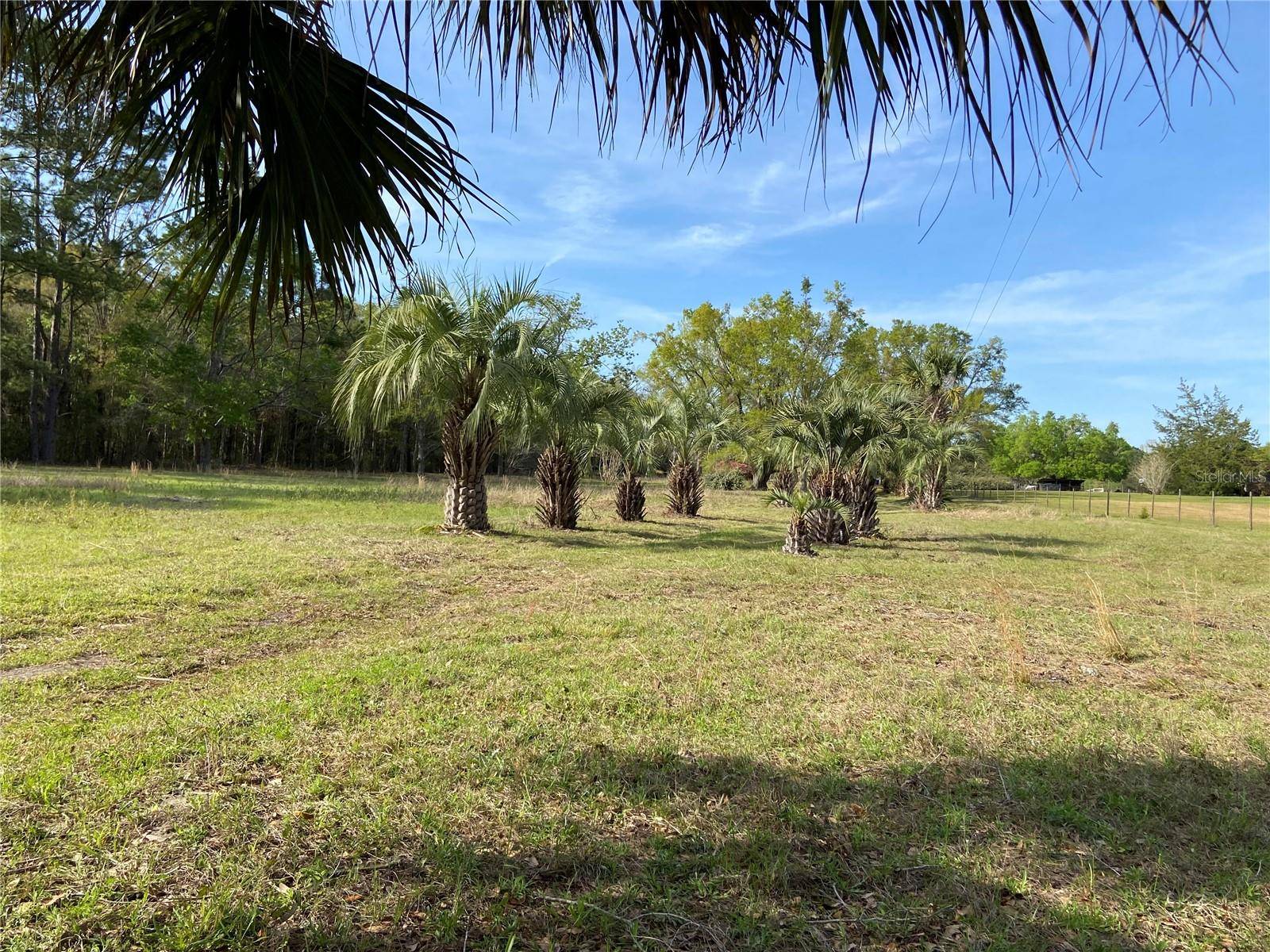 23206 NW 102 ND AVE, Alachua, FL 32615