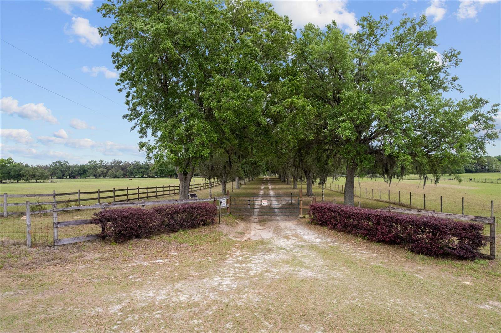 3149 SW 200TH AVE, Dunnellon, FL 34431