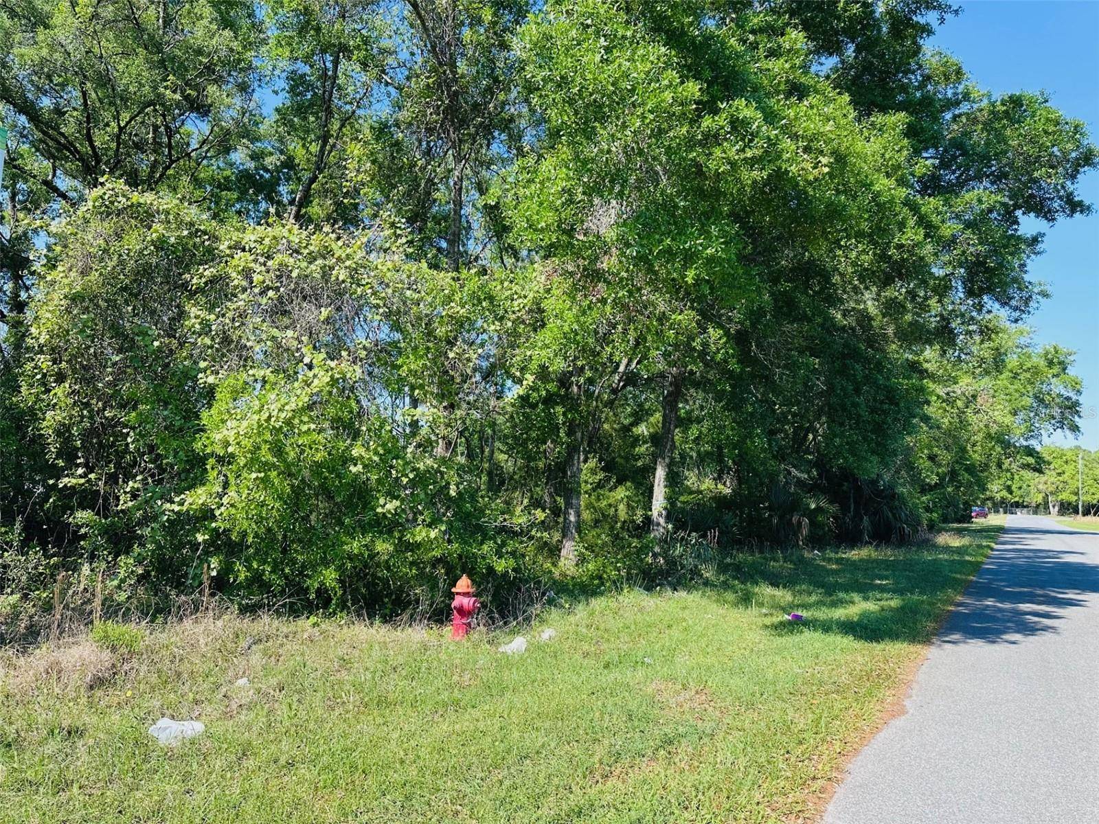 0 N YOUNG BLVD, Chiefland, FL 32626