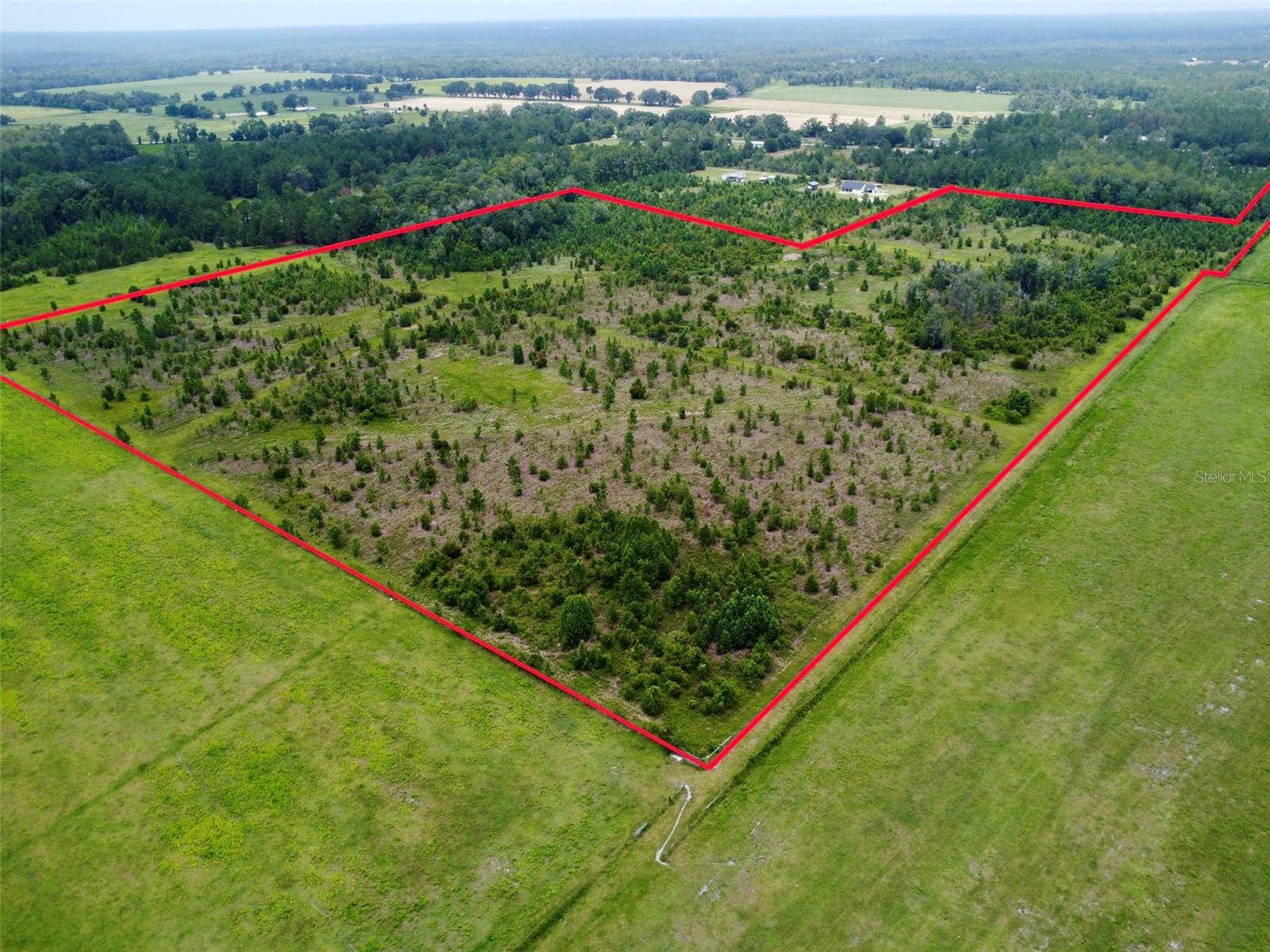 TBD CR 235, Brooker, FL 32622