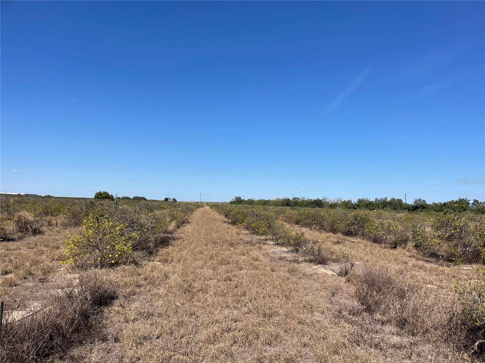 LAWRENCE STEWART RD, Frostproof, FL 33843