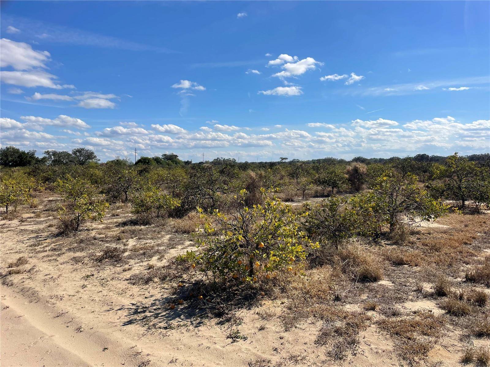 LAWRENCE STEWART RD, Frostproof, FL 33843