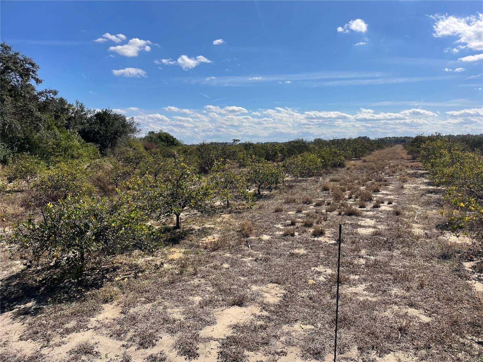 LAWRENCE STEWART RD, Frostproof, FL 33843