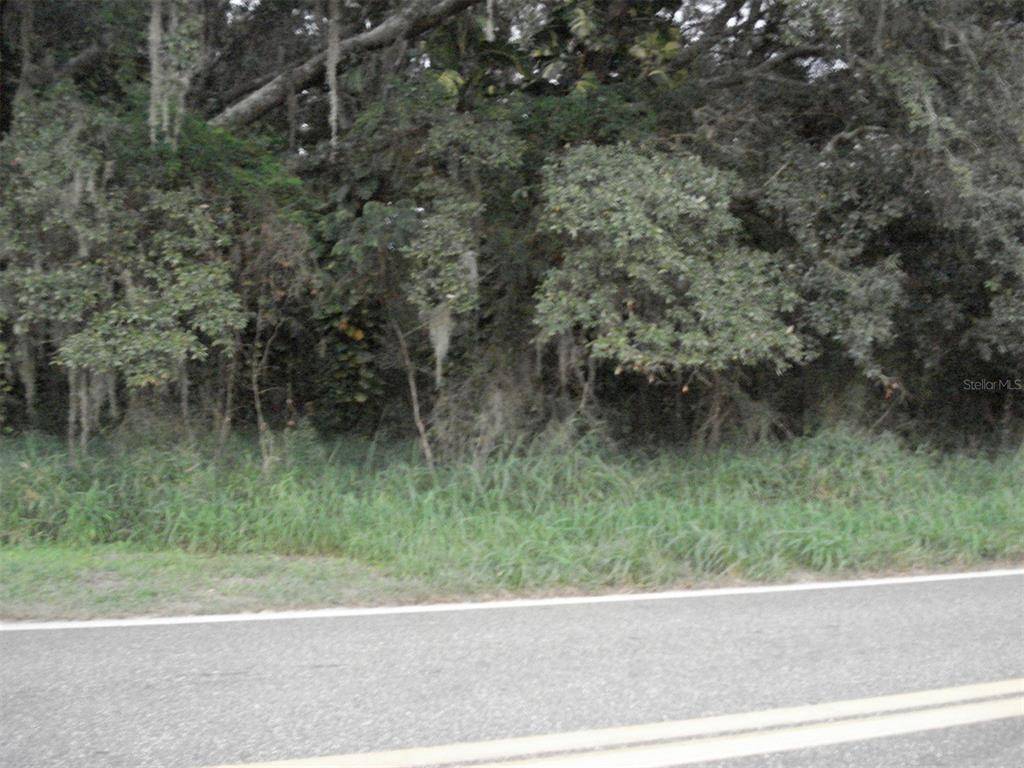AVON PARK CUTOFF EAST RD, Frostproof, FL 33843