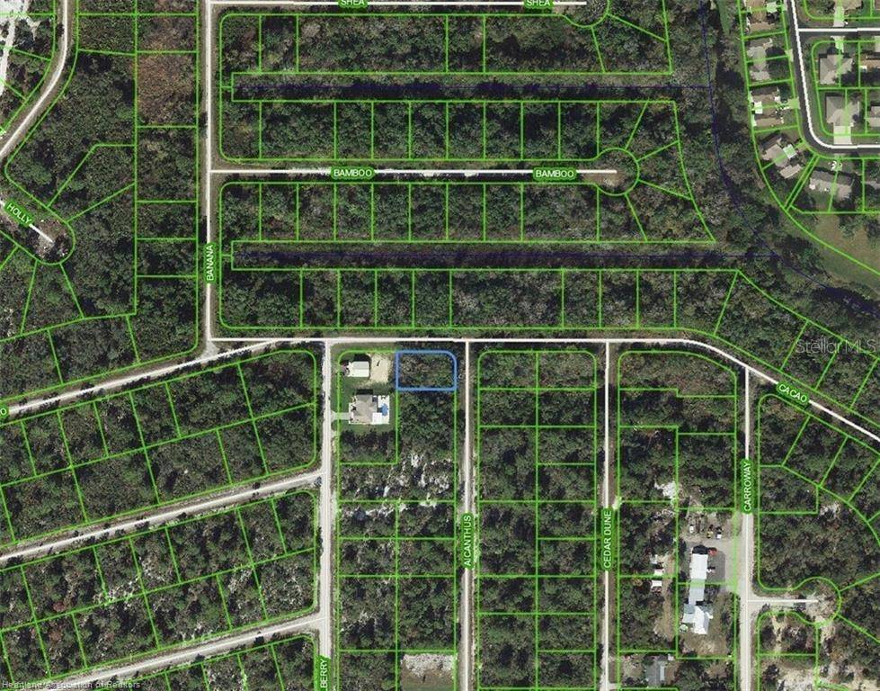 1218 AILANTHUS ST, Lake Placid, FL 33852