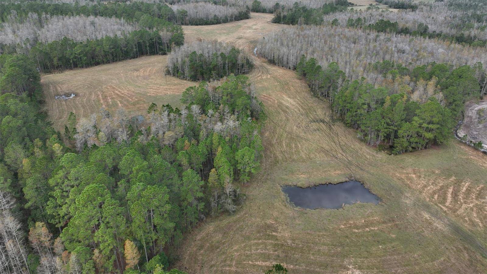 BERRY GROVES RD DR, Clermont, FL 34714