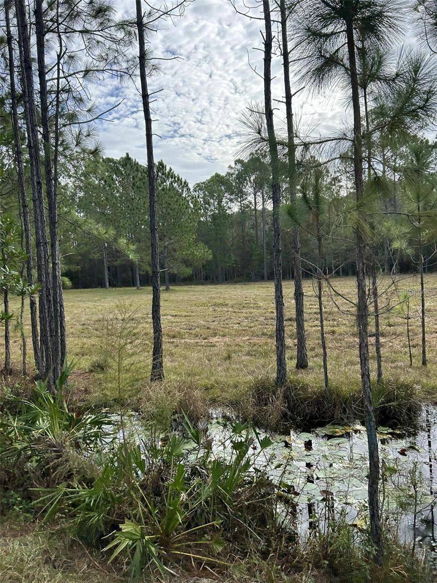 BERRY GROVES RD DR, Clermont, FL 34714