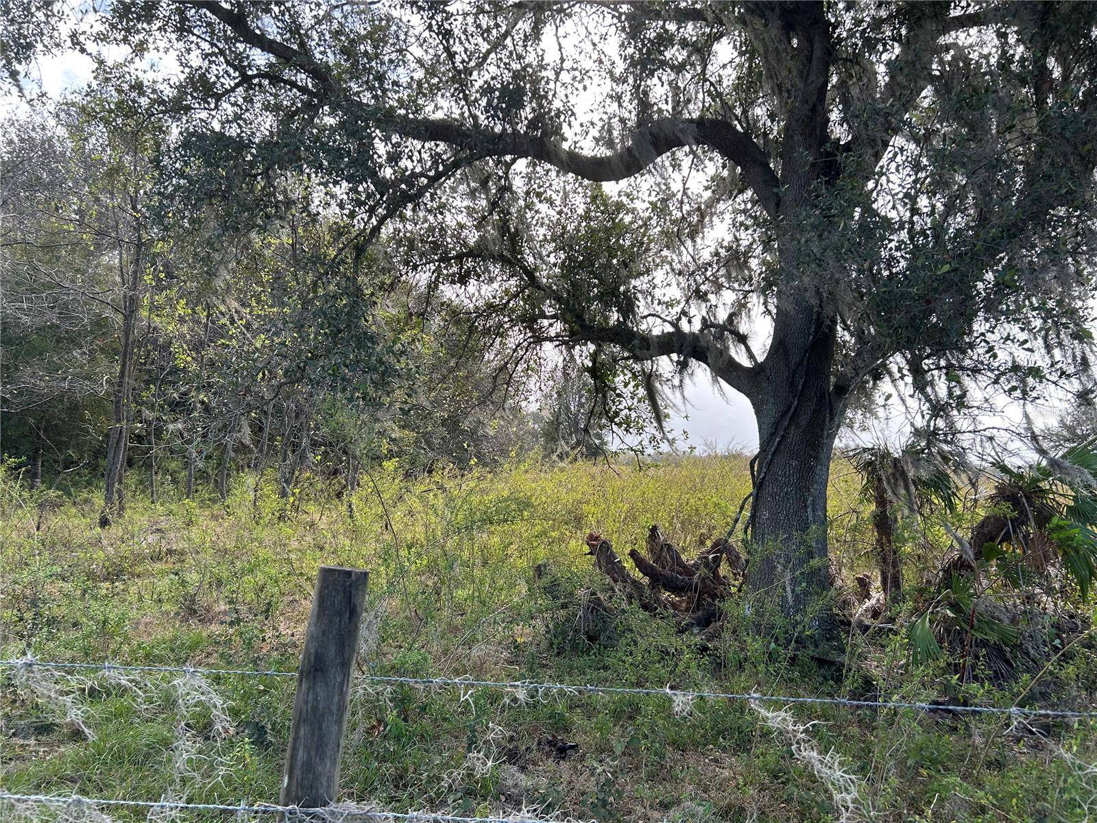 SR-64, Zolfo Springs, FL 33890