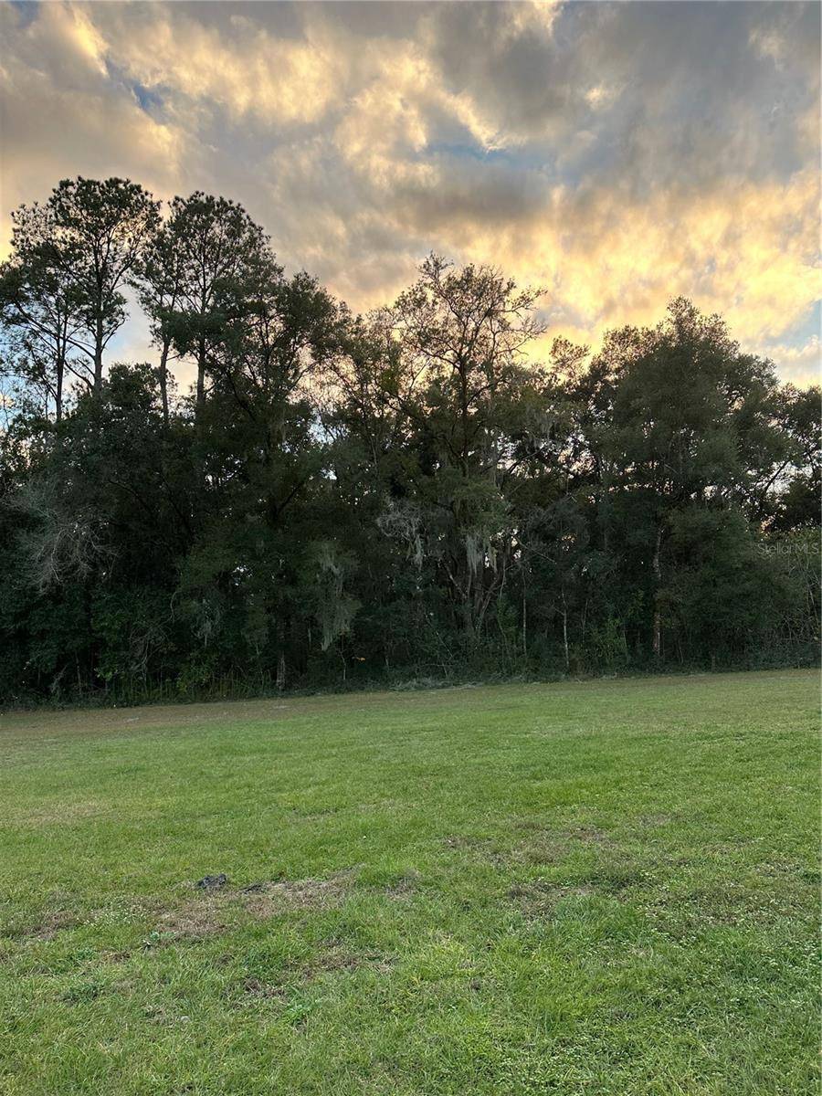 UNDETERMINED, Citra, FL 32113