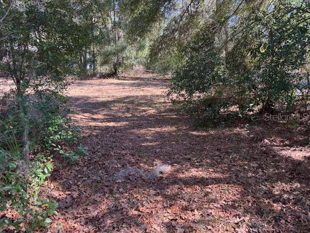 10220 W OHIO DR, Crystal River, FL 34428