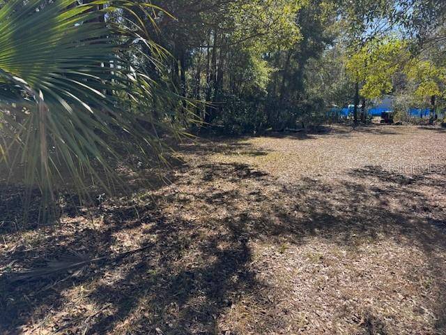 10220 W OHIO DR, Crystal River, FL 34428