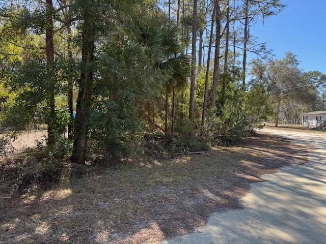 10220 W OHIO DR, Crystal River, FL 34428