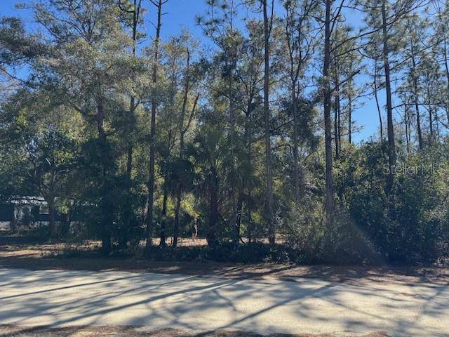 10220 W OHIO DR, Crystal River, FL 34428