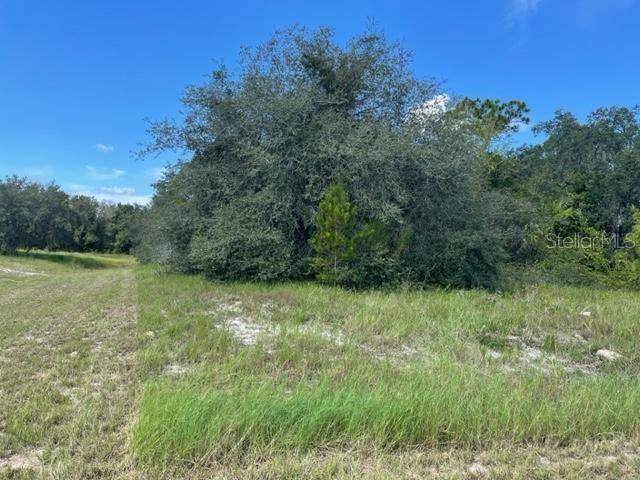 KISSIMMEE WAY, Kissimmee, FL 34759