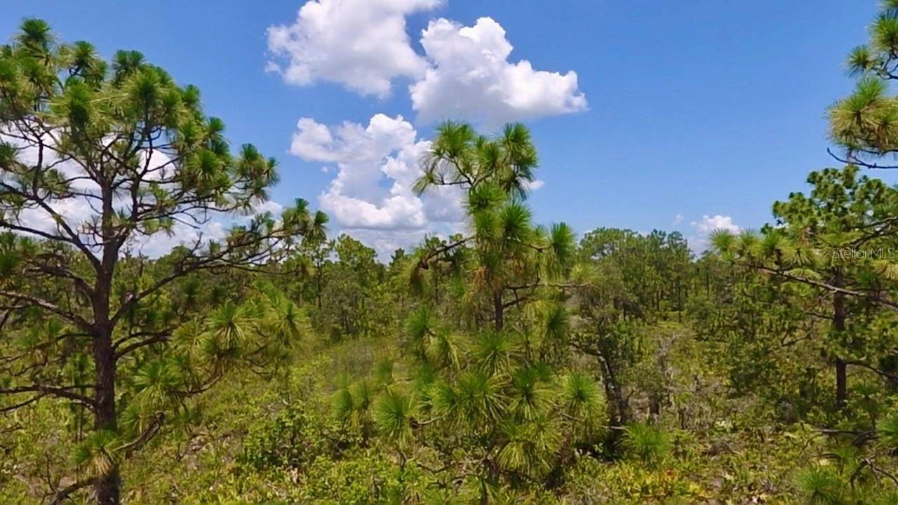 113 BOUGAINVILLE DR, Indian Lake Estates, FL 33855