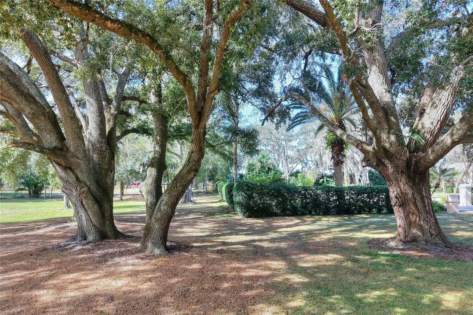 ISLAND WAY, Winter Haven, FL 33884