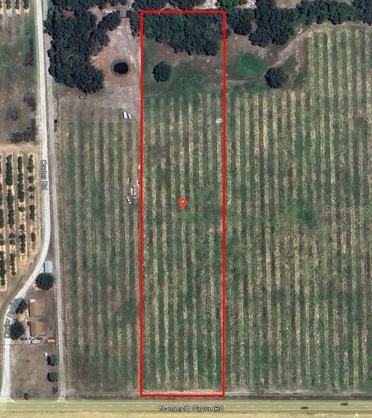 MAMMOTH GROVE RD, Lake Wales, FL 33898