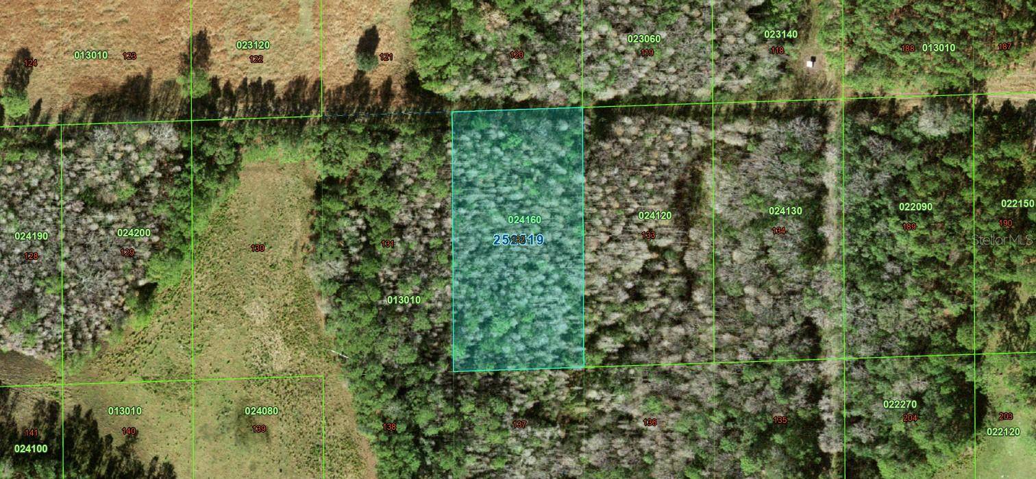 Polk City, FL 33868