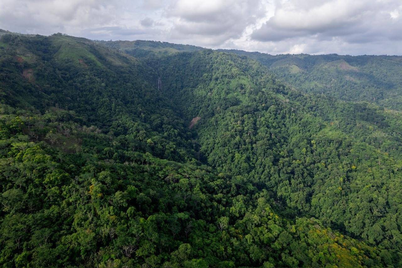 000 BAJO LOS INDIOS, Puntarenas, 00000