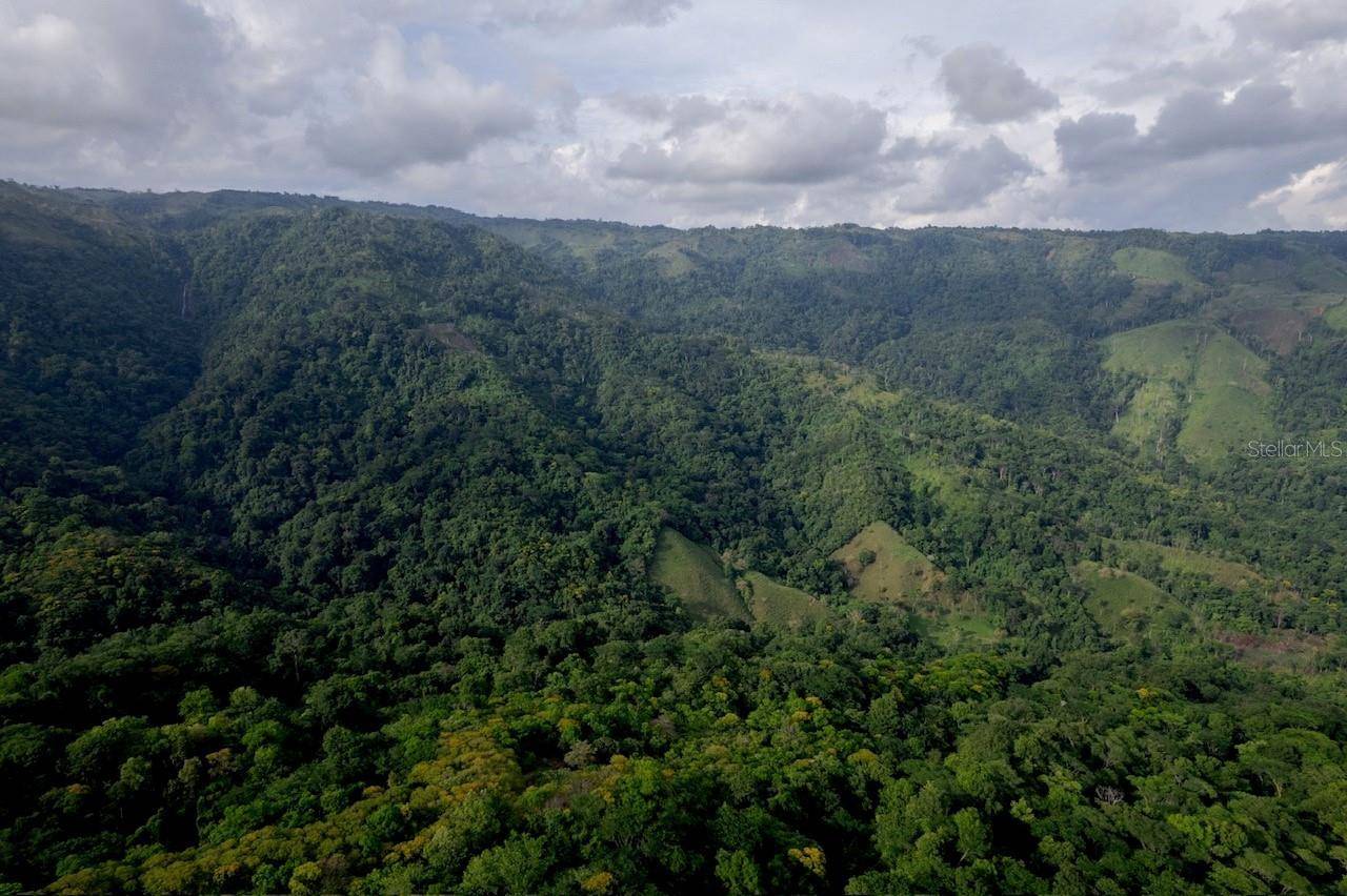 000 BAJO LOS INDIOS, Puntarenas, 00000