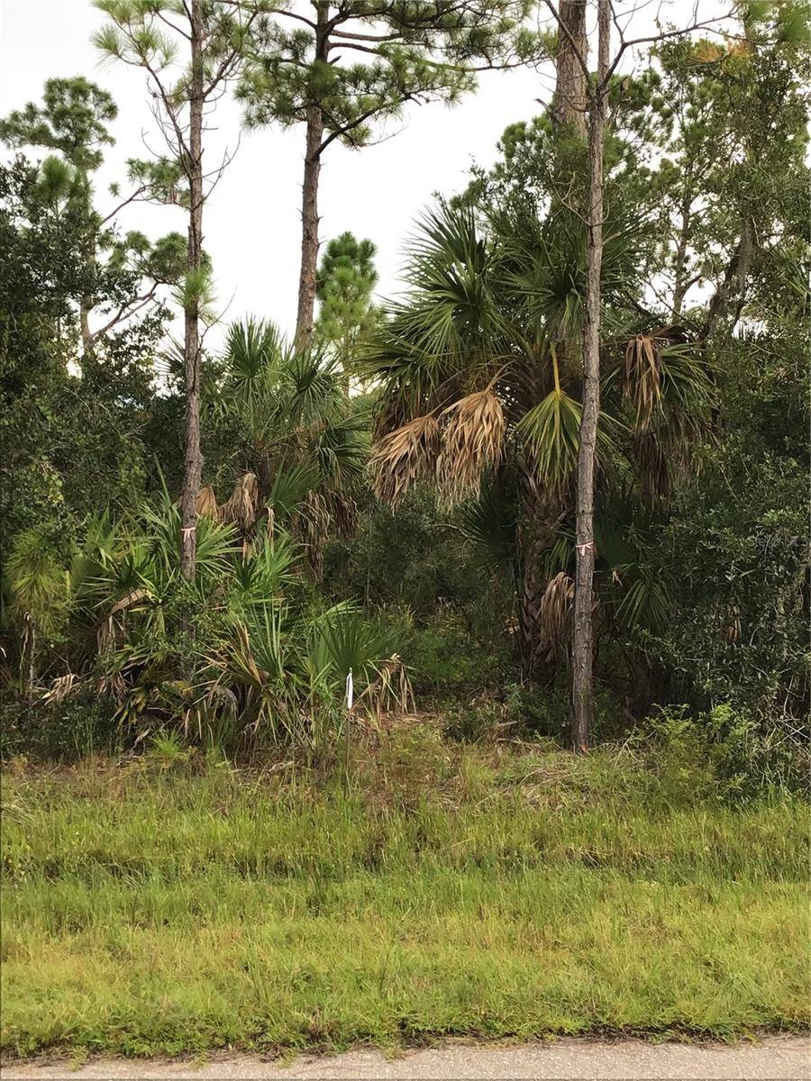14202,m 14210,14218,14226 HYDRANGEA AVE, Port Charlotte, FL 33953