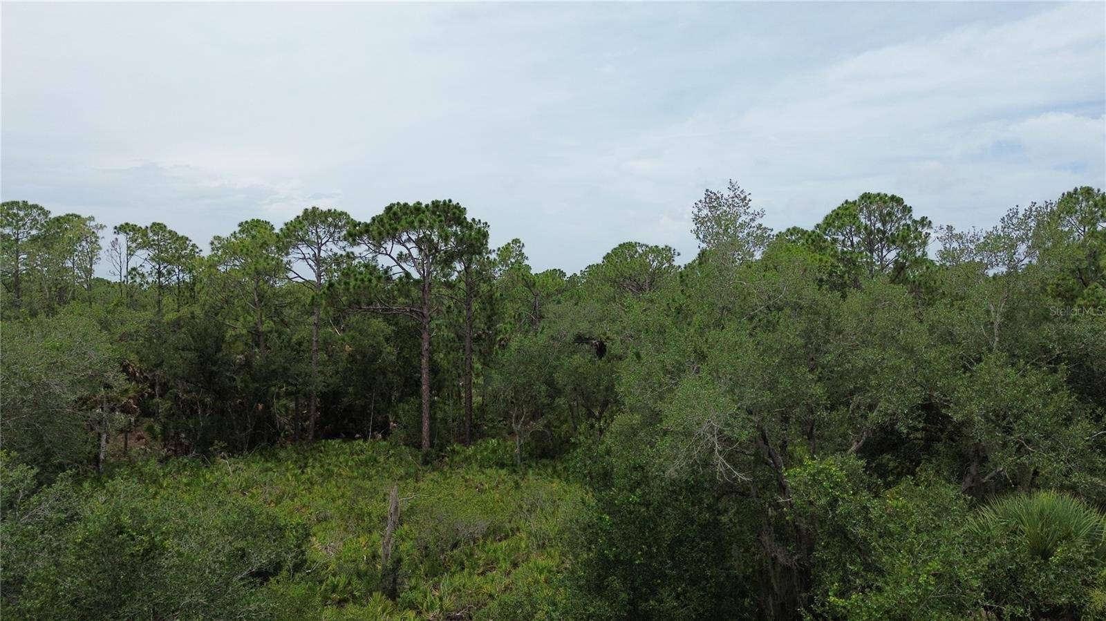 14059 HUGHES AVE, Port Charlotte, FL 33953